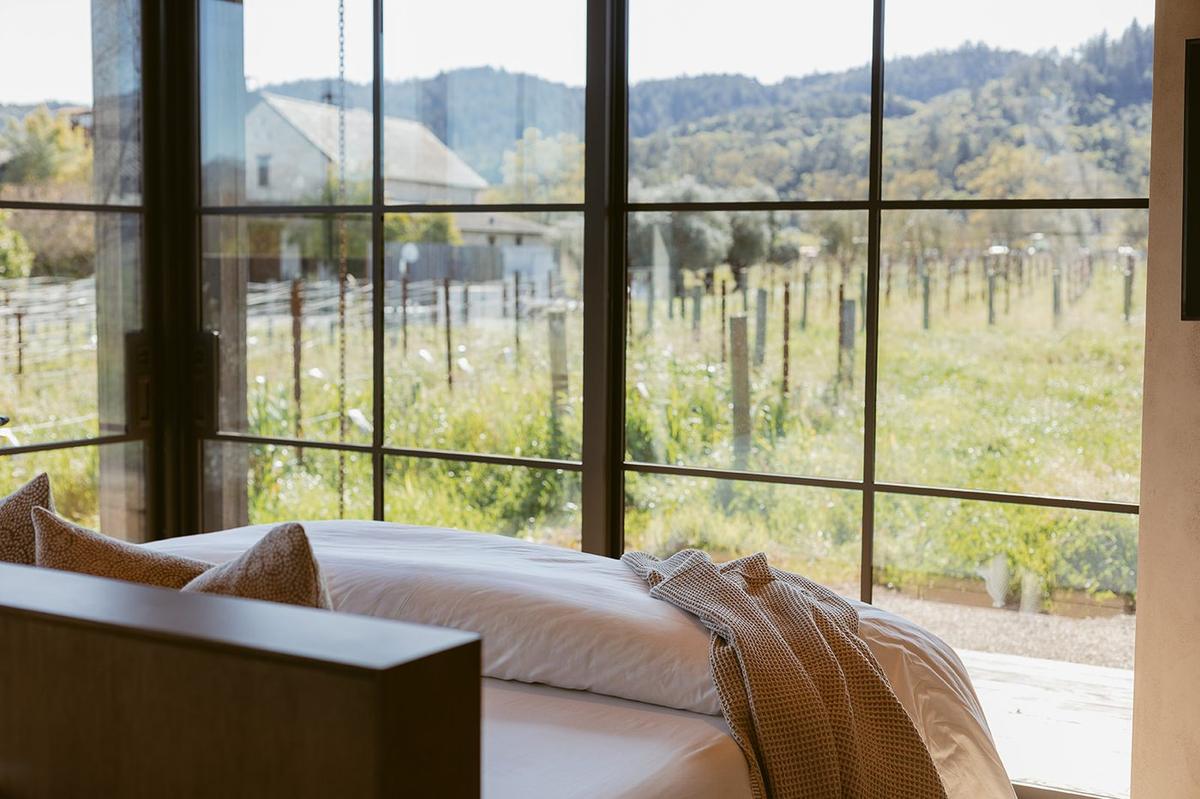 Vineyard view from suite